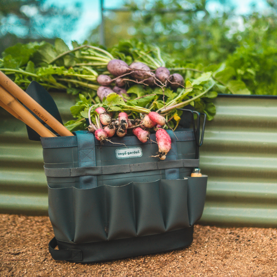 Start with our raised garden beds.