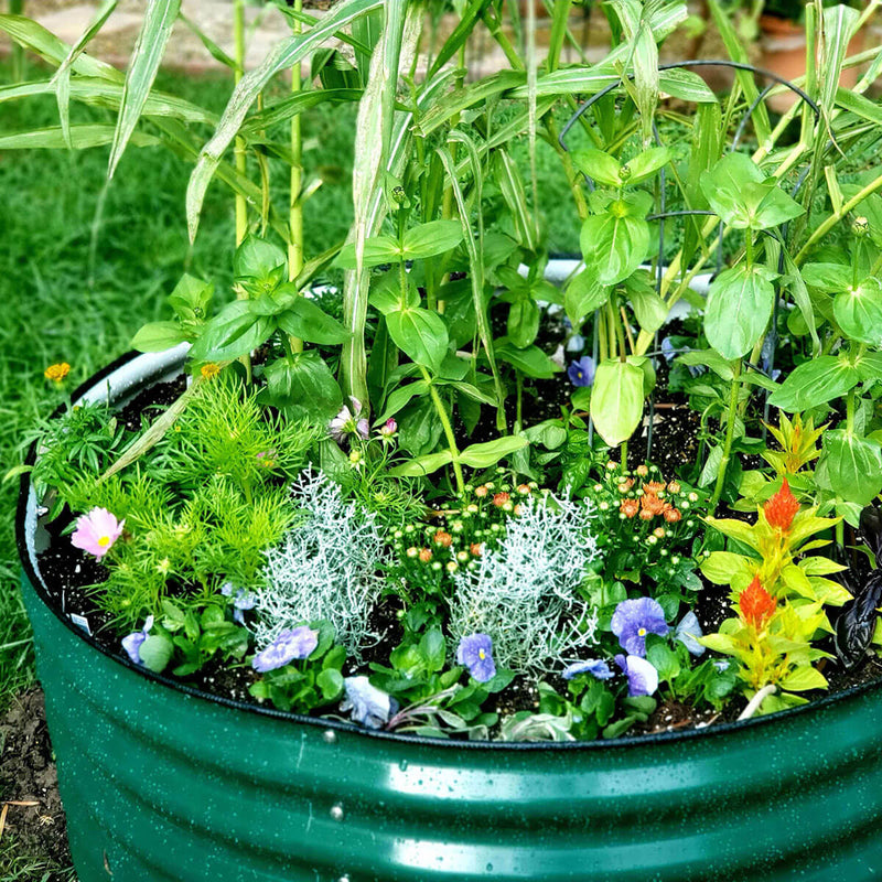 17" Tall 42" Round Modular Metal Raised Garden Bed Kit | Vego Garden | British Green