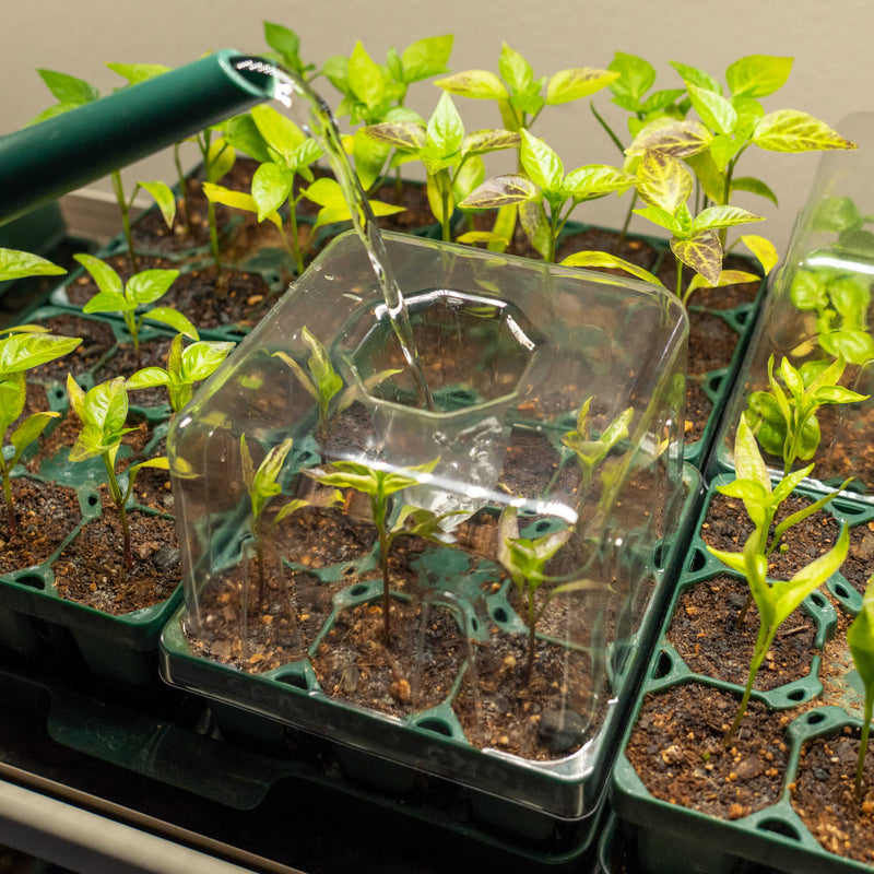 Vego Garden | Seedling Tray Drip Irrigation Lid