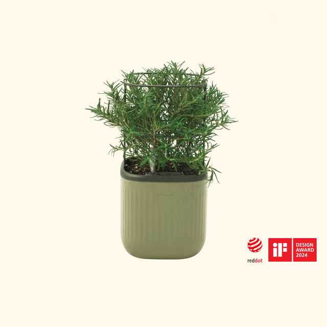 vego-garden-Self-Watering-Mini-Planter-Pot-with-Trellis