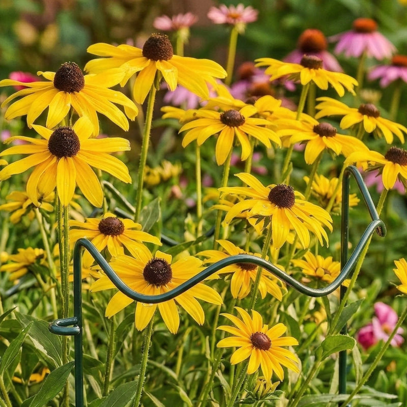 Border Plant Support Wavy - 6 Pack
