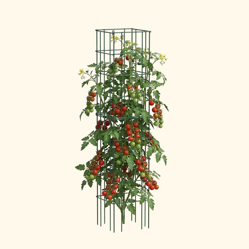 FlexGrow Tomato Cage | Vego Garden