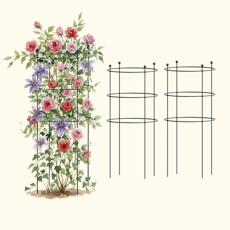 Flower Cage Round - 2 Pack  | Vego Garden