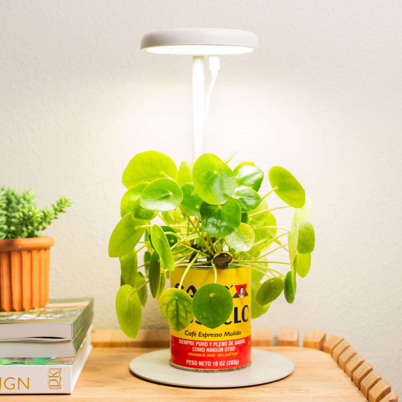 Grow Light Stand Mini | Vego Garden