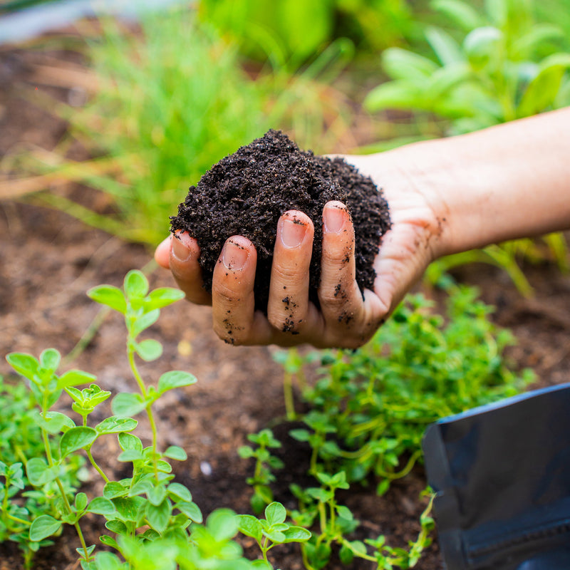 Locally Sourced Organic Worm Castings Omri Certified Vego Garden