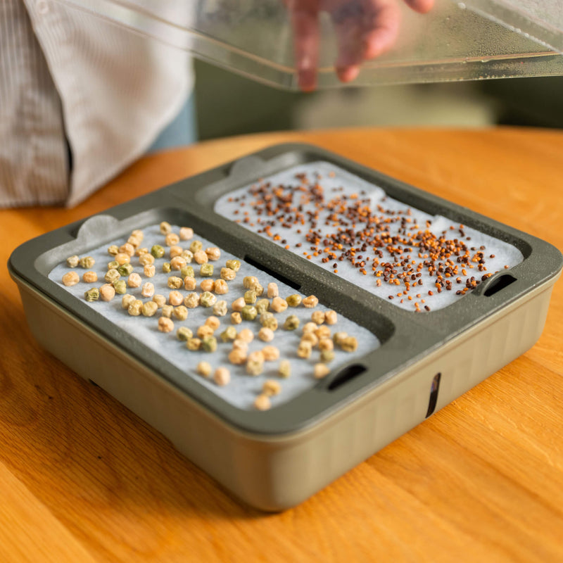 EZ Microgreens Planter
