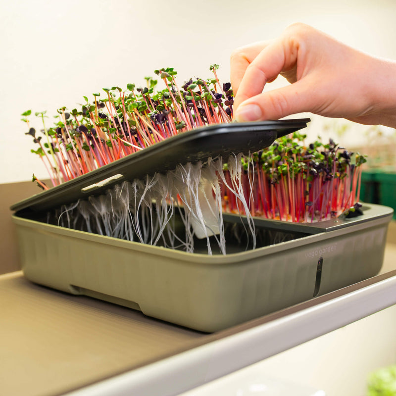 Microgreens Grow Mats - 40 Pack