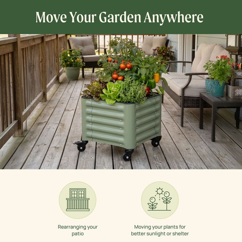 Classic Rolling Garden Beds | Vego Garden