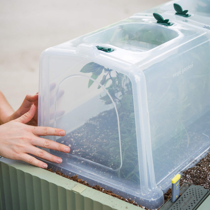 Row Cloche End Cap - 2 Pack | Vego Garden