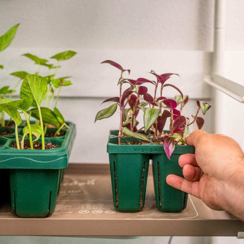 Seedling Heat Mat | Vego Garden