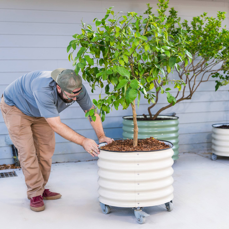 V-Series_Rolling_Tree_Planter_Round | Vego Garden
