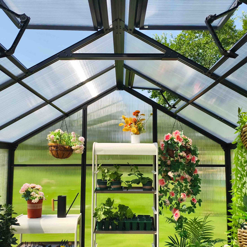 Vego Junior Victorian Greenhouse - 6.5ft Wide