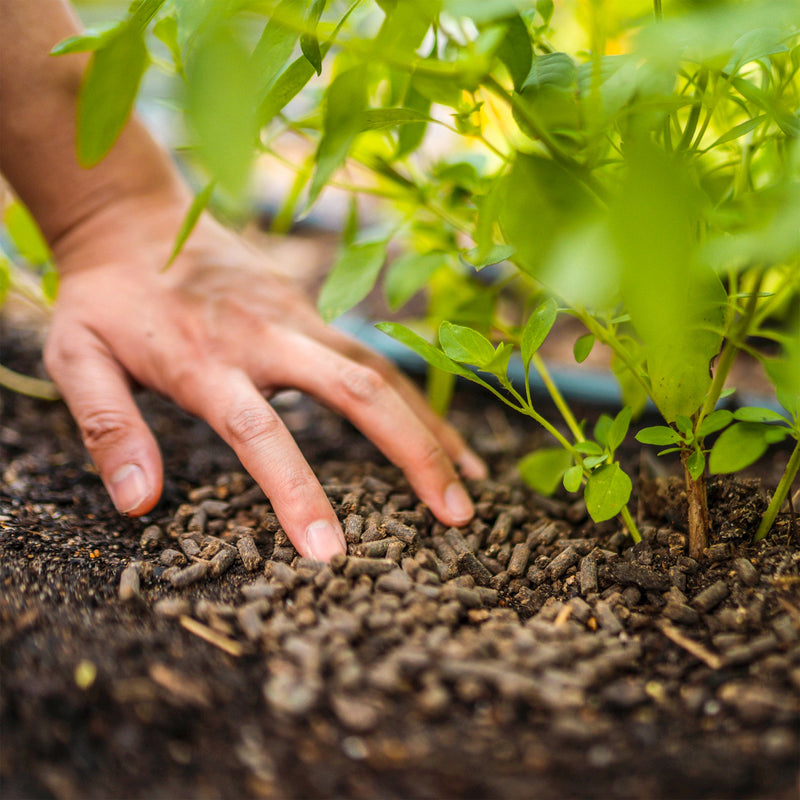 Organic Fertilizer | Vego Garden