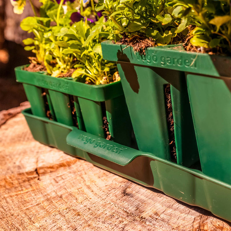 Vego Garden | Seedling Trays - 10x20 Mix Kit