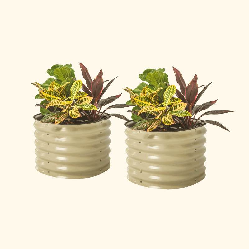 Self-Watering Planter - Twin Pack