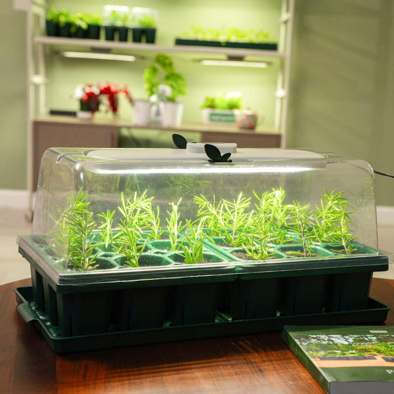 Giga Seed Starting Bundle - 25 cm × 50 cm