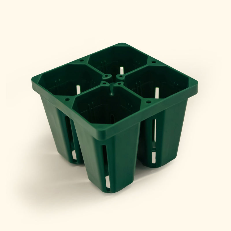 Jumbo Seedling Trays