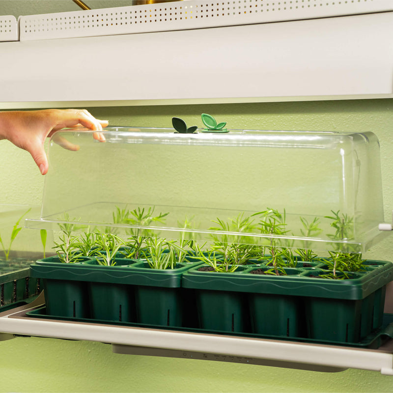 Giga Seedling Tray | Vego Garden