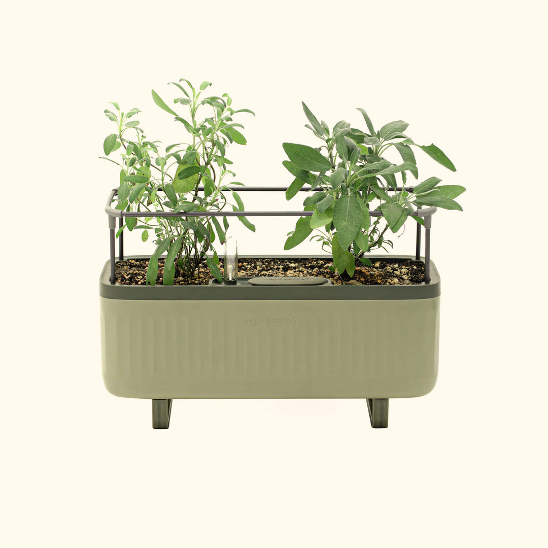 trellis herb planter Self-Watering Herb Planter Box with Trellis | Vego Garden