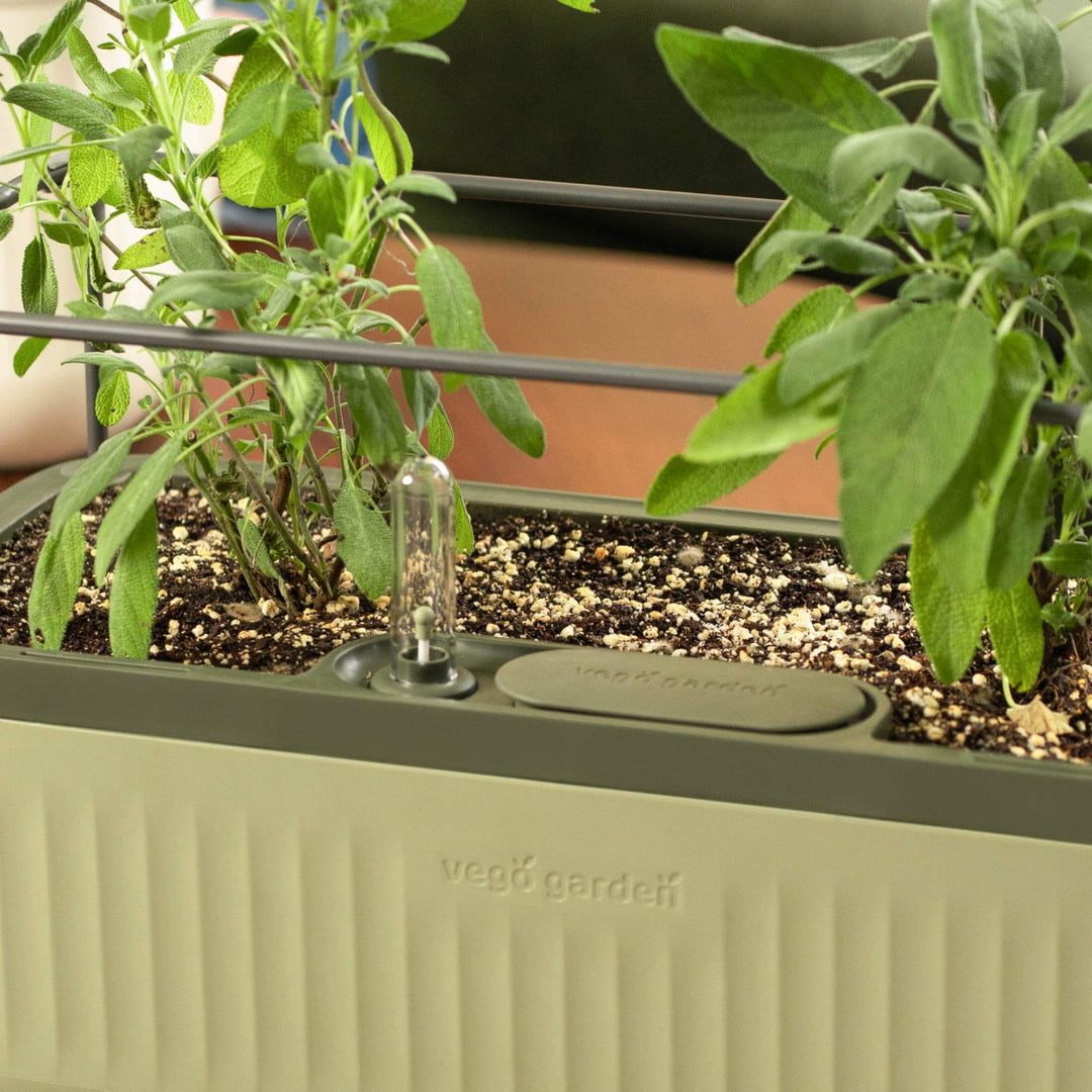 herb indoor planter box Self-Watering Herb Planter Box with Trellis | Vego Garden