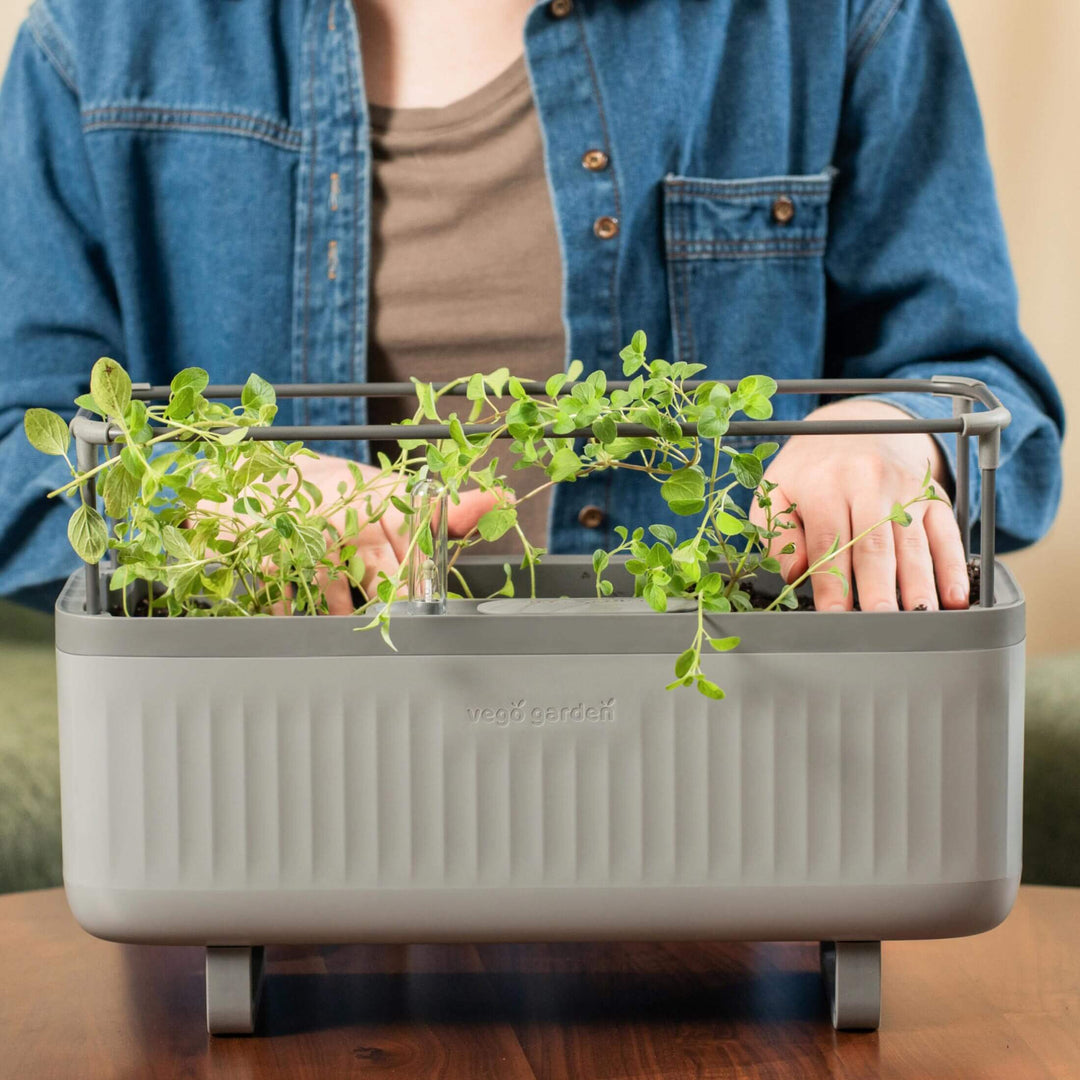 herb planter box indoor Self-Watering Herb Planter Box with Trellis ｜ Vego Garden