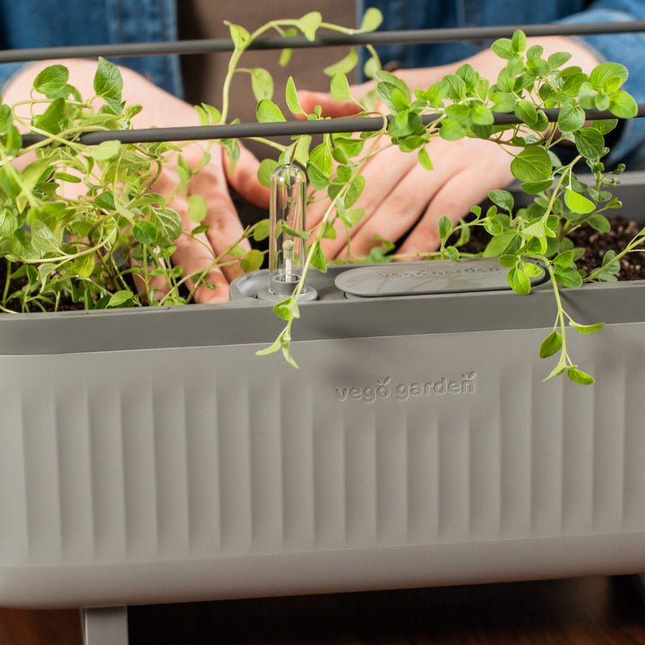 hydroponic planter box Self-Watering Herb Planter Box with Trellis | Vego Garden
