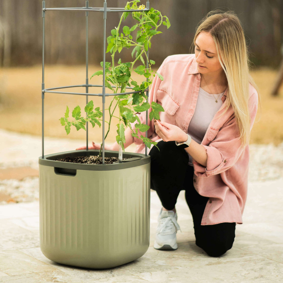 self watering trellis planter Self-Watering Rolling Tomato Planter with Trellis–Vego Garden