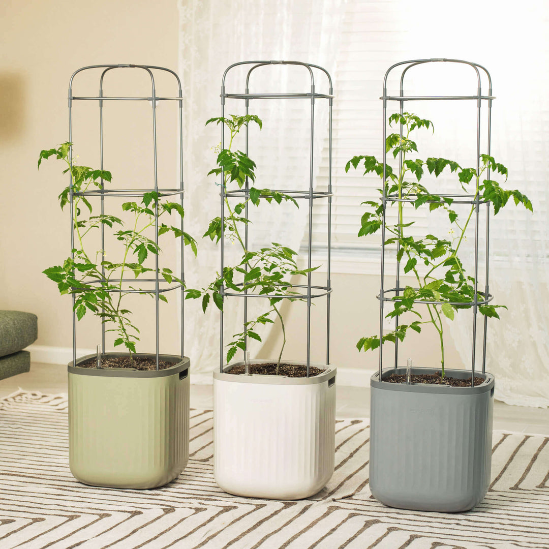 self watering trellis planter Self-Watering Rolling Tomato Planter with Trellis–Vego Garden