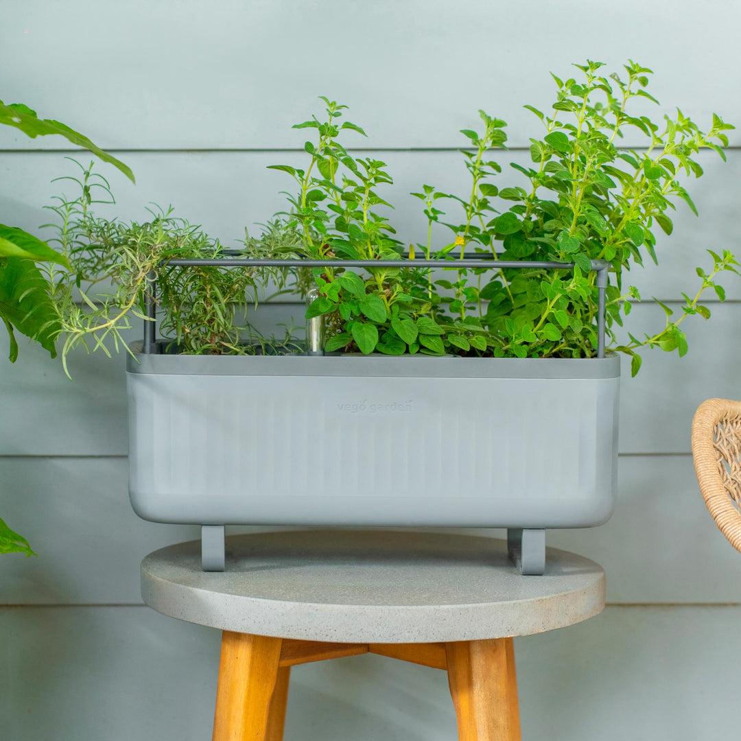 Self-Watering Herb Planter Box with Trellis ｜ Vego Garden