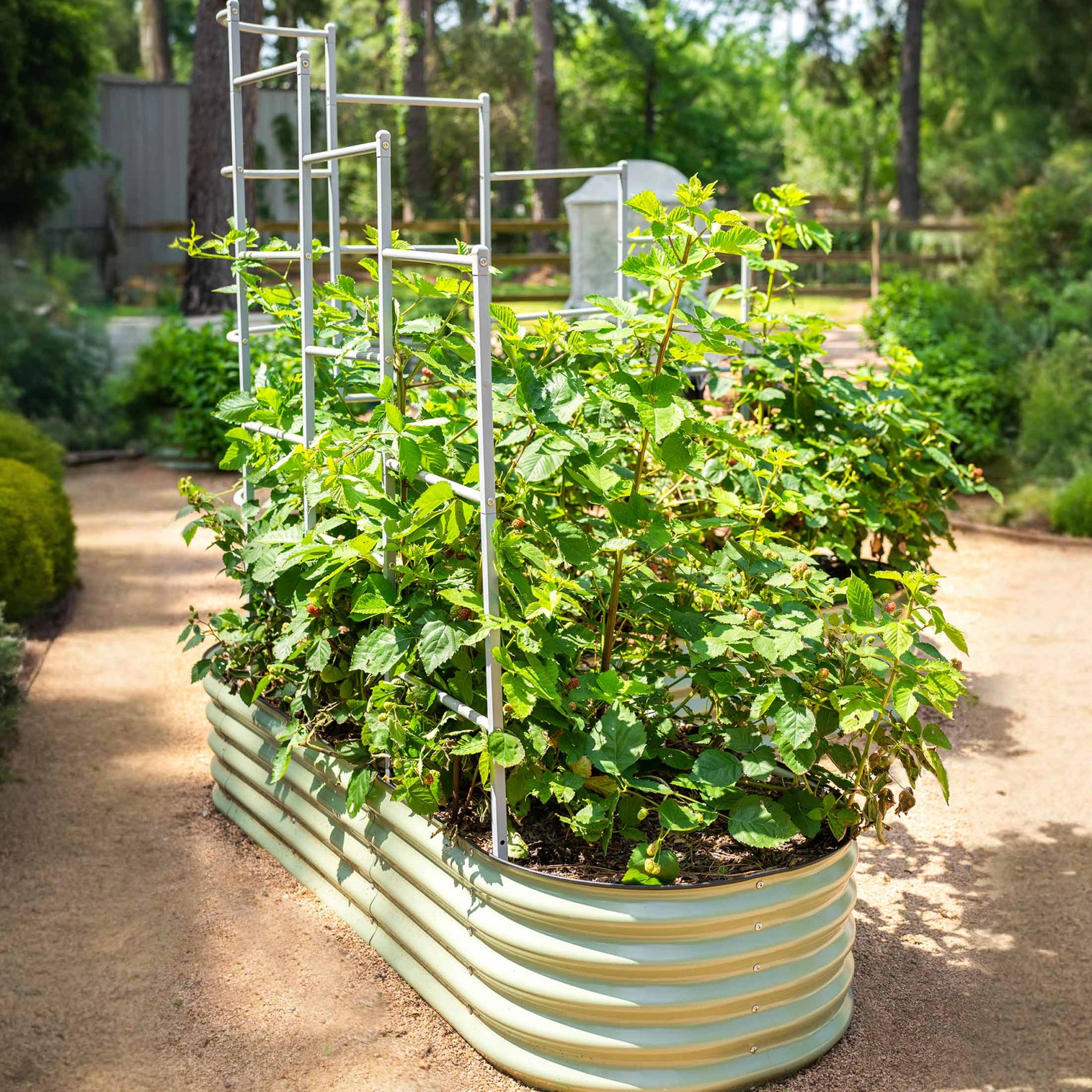 Modular Wall Trellis System – Vego Garden Wholesale