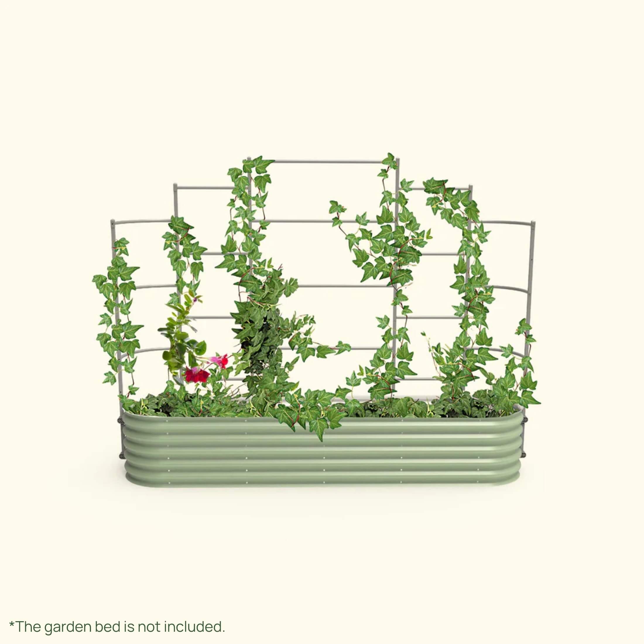 Wall Trellis System