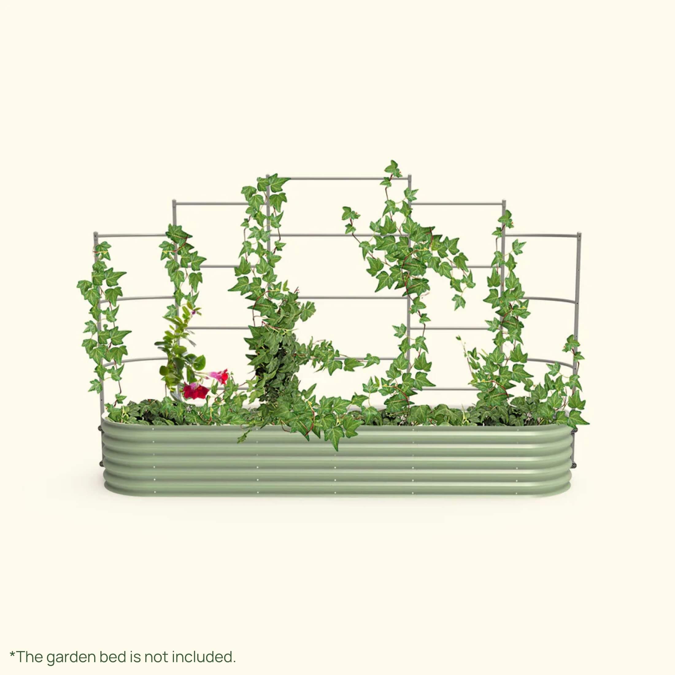 Wall Trellis System