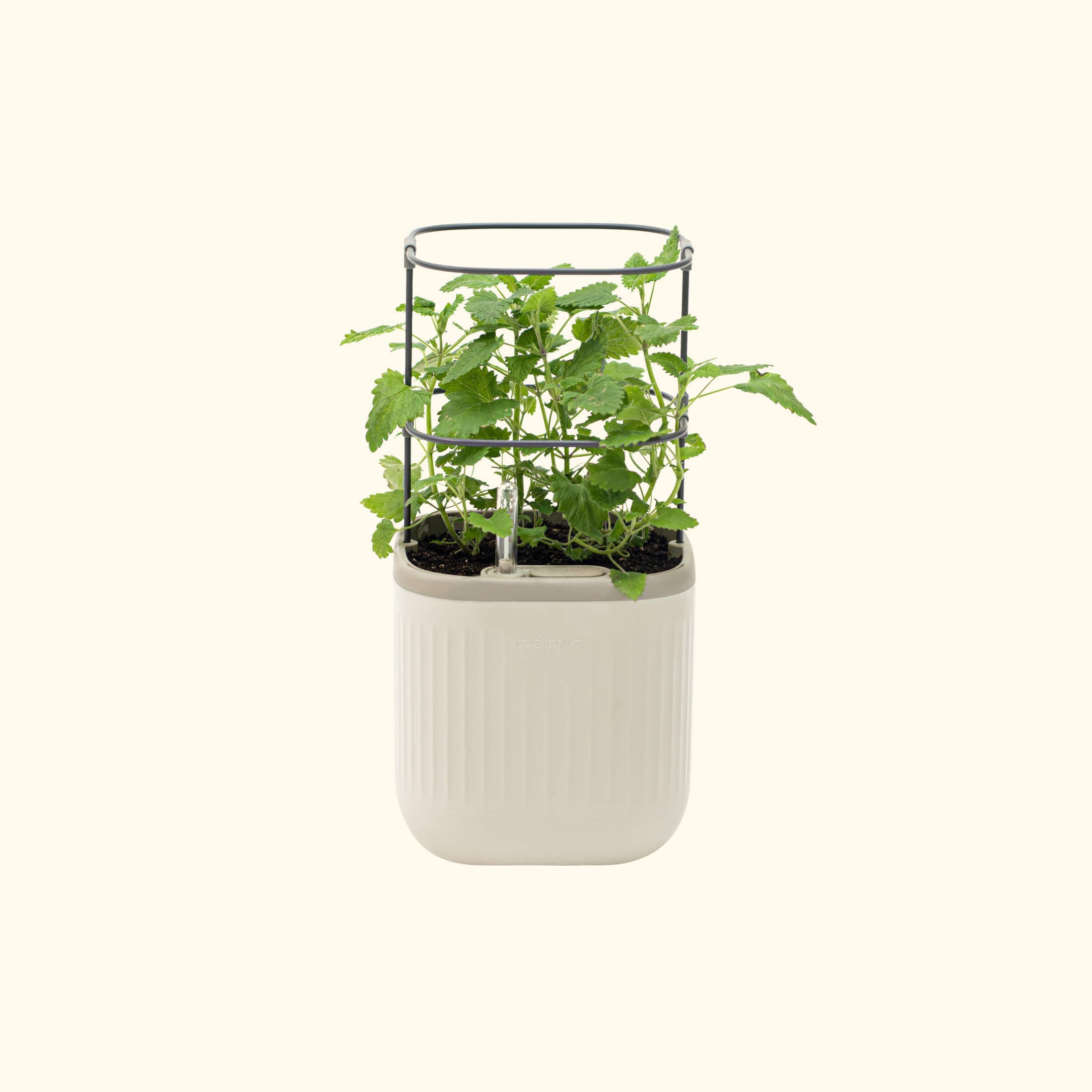 vego-garden-Self-Watering-Mini-Planter-Pot-with-Trellis
