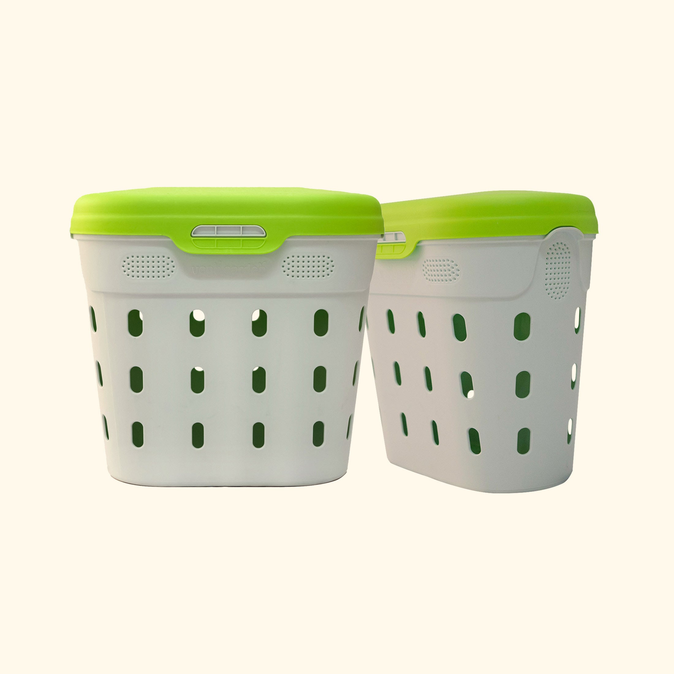 in-ground worm bin | in-ground worm farm | twin pack